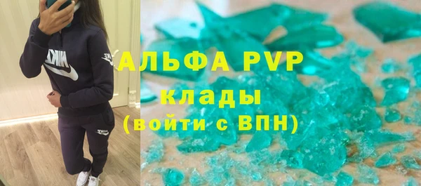 дживик Инта