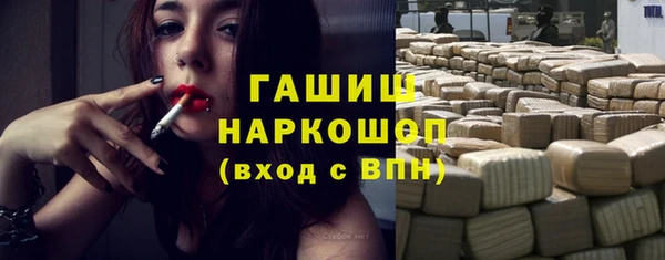 дживик Инта