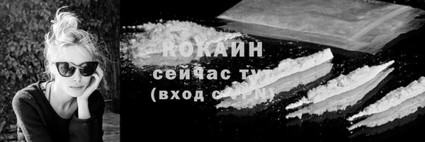 ешки Инсар