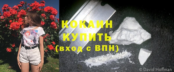дживик Инта