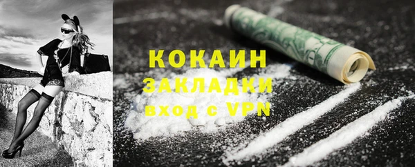 дживик Инта