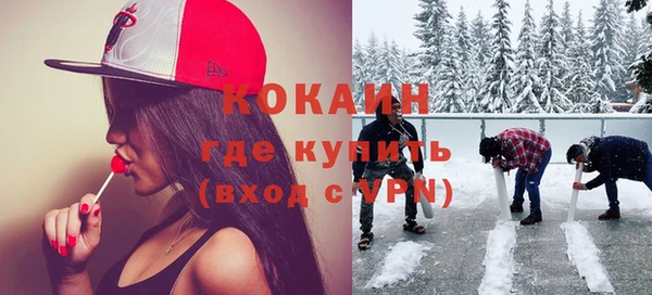 МДПВ Каменногорск