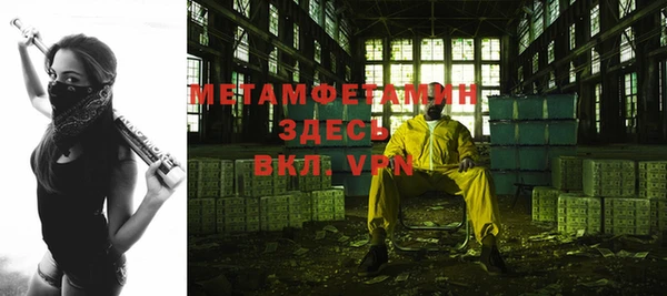 дживик Инта