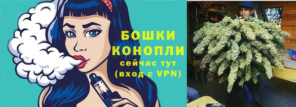 МДПВ Каменногорск